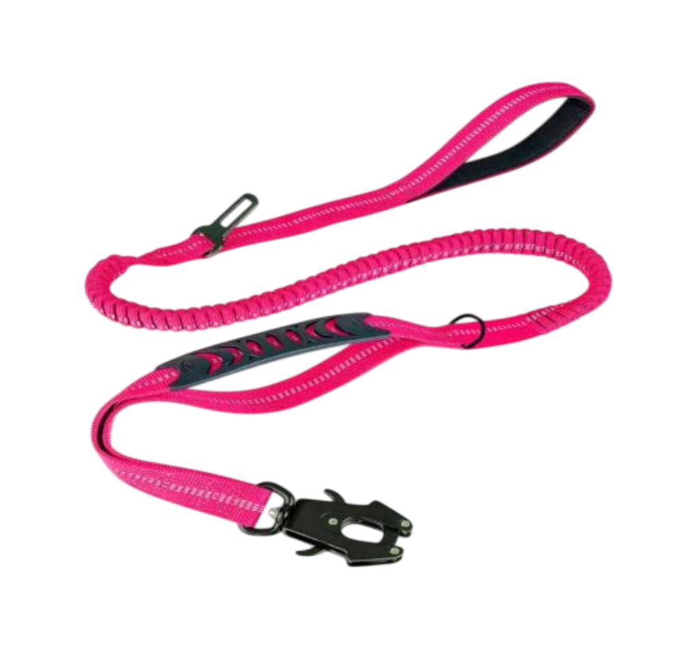 ControlFlex Bungee Lead