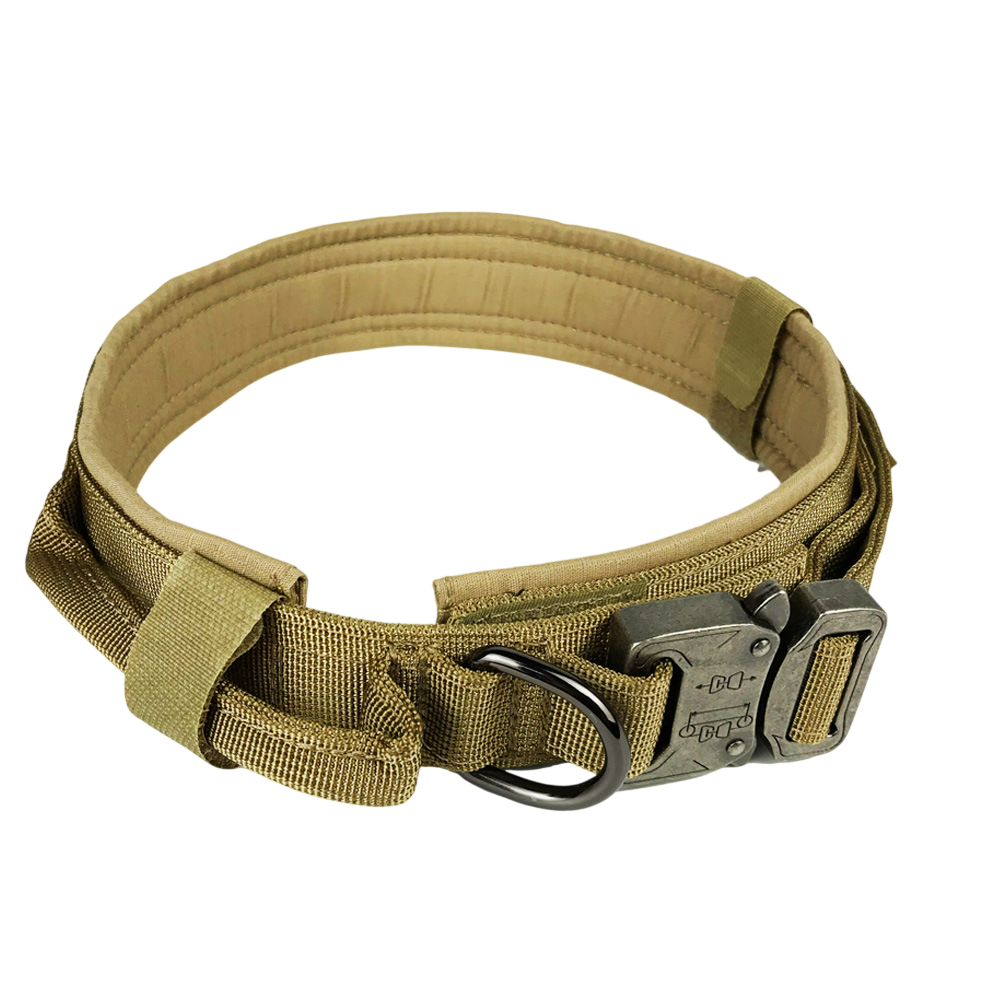 Rugged Dog Collar