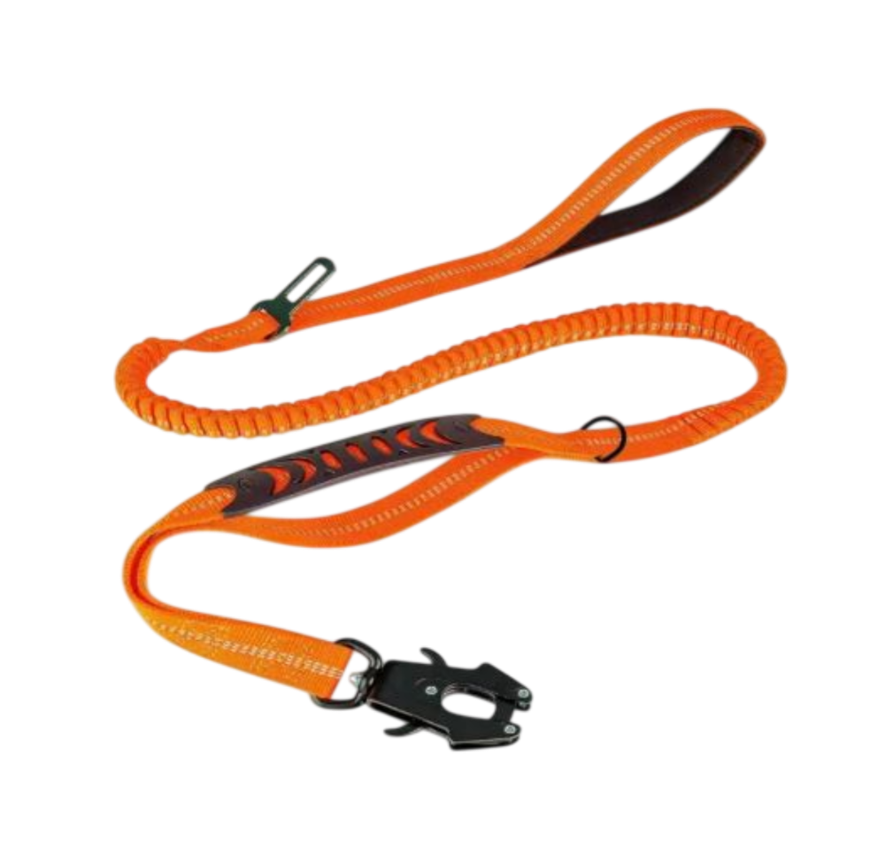 ControlFlex Bungee Lead