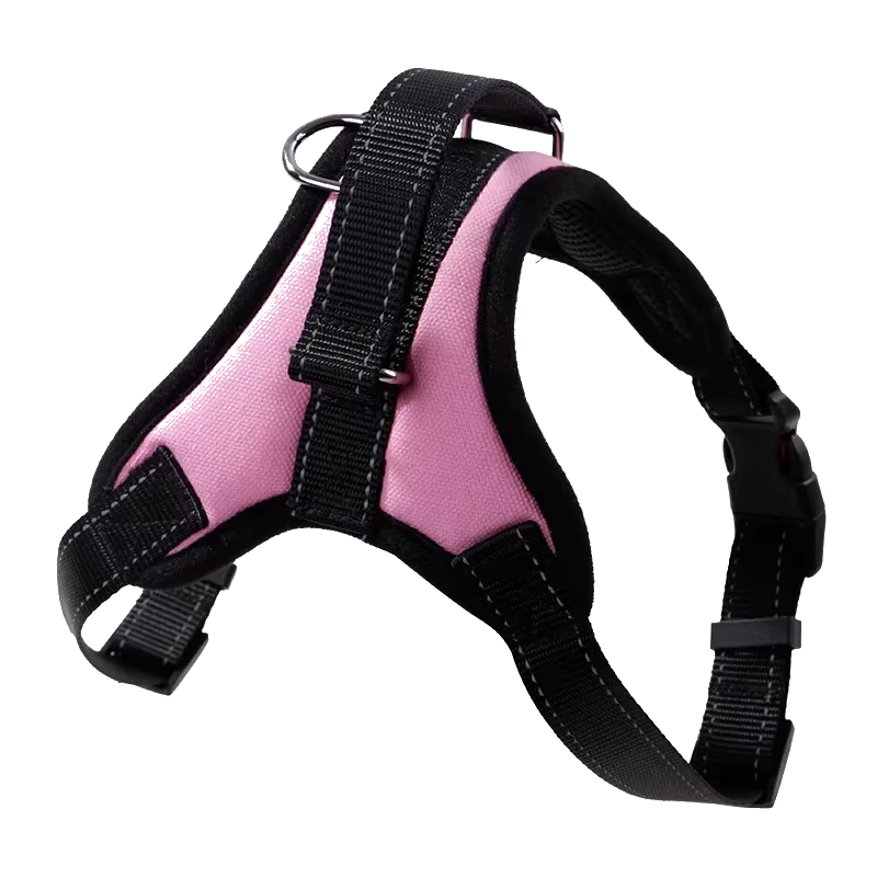 Training Harness