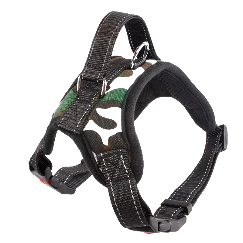 Training Harness