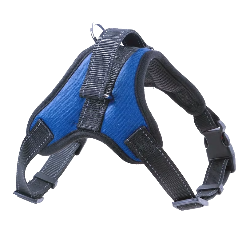 Training Harness