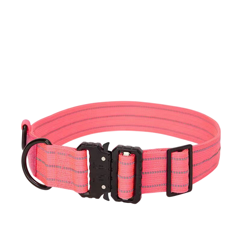 WildCore Dog Collar