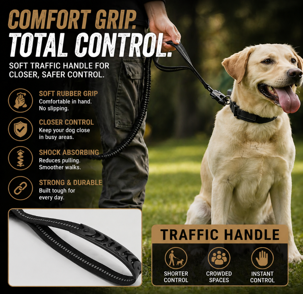 ControlFlex Bungee Lead