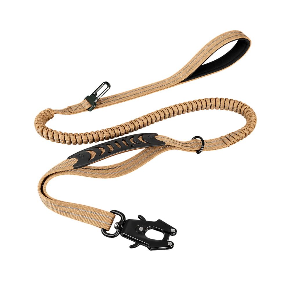 ControlFlex Bungee Lead