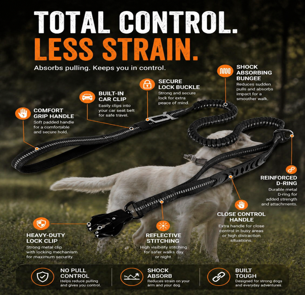 ControlFlex Bungee Lead
