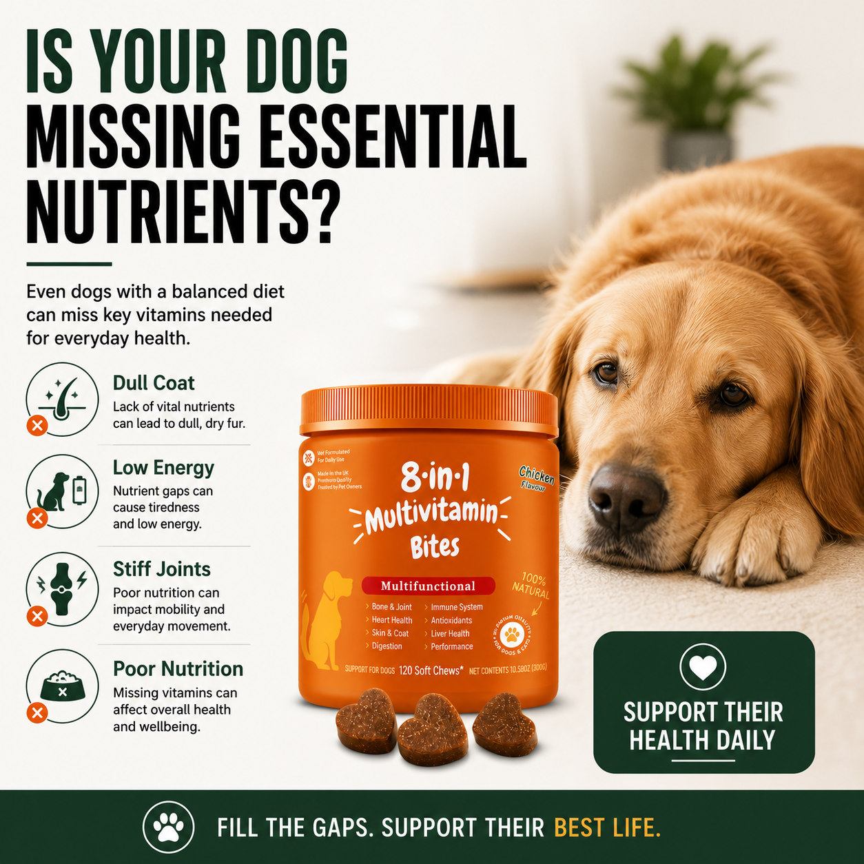 Pawmudder Multivitamin Chews