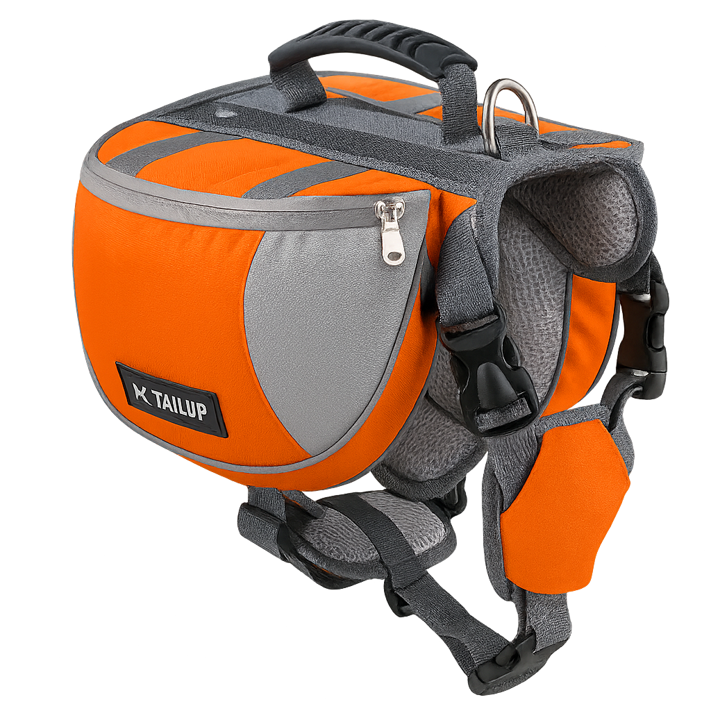 Ultimate Comfort Dog Walking Kit