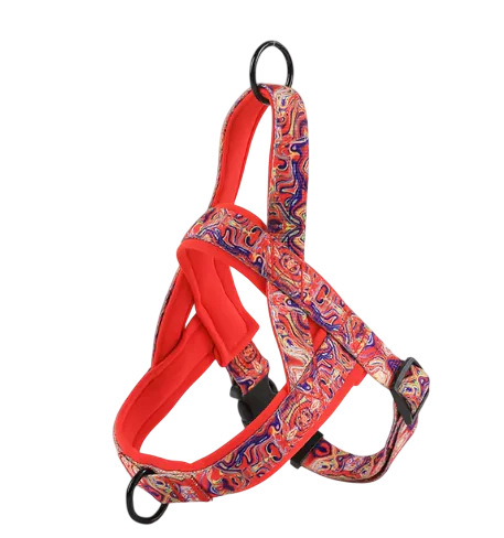BrightStride Comfort Harness