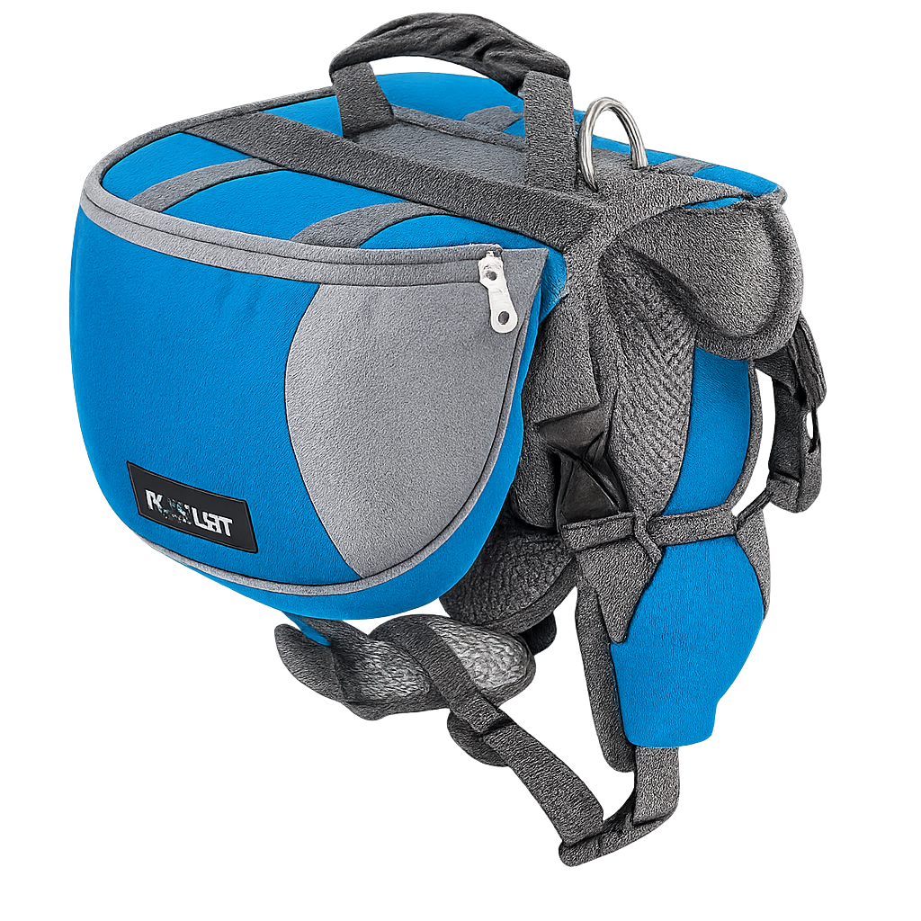 Ultimate Comfort Dog Walking Kit