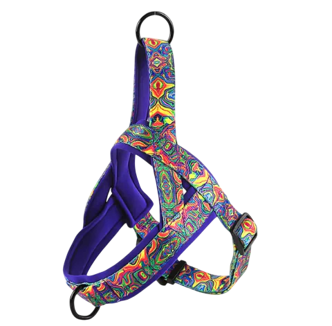 BrightStride Comfort Harness