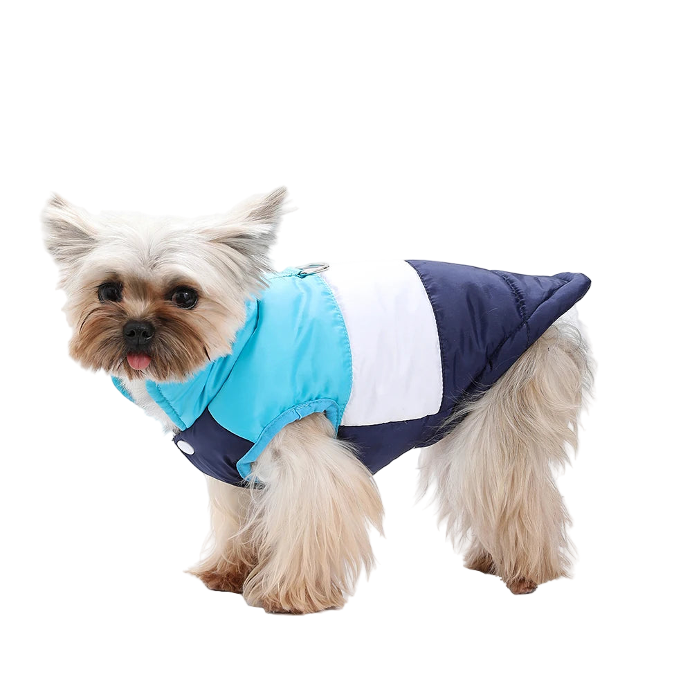 Windproof Dog Jacket With D-Ring