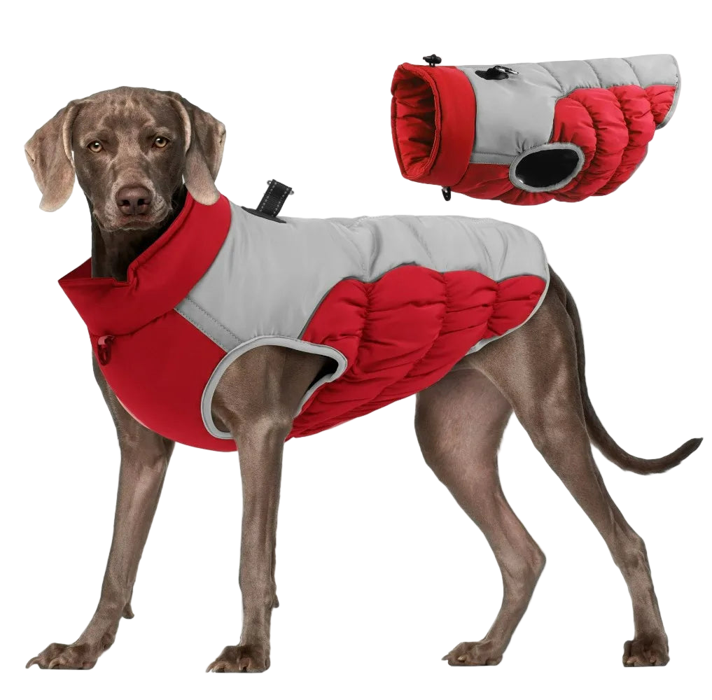 Windproof Warm Dog Jacket – Adventure-Ready Comfort