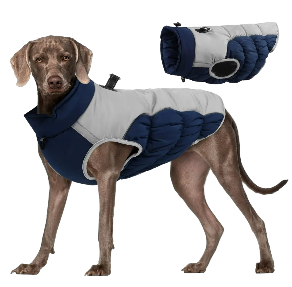 Windproof Warm Dog Jacket – Adventure-Ready Comfort