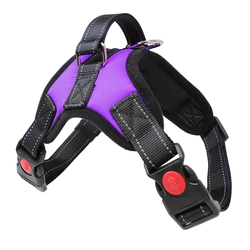Training Dog Harness