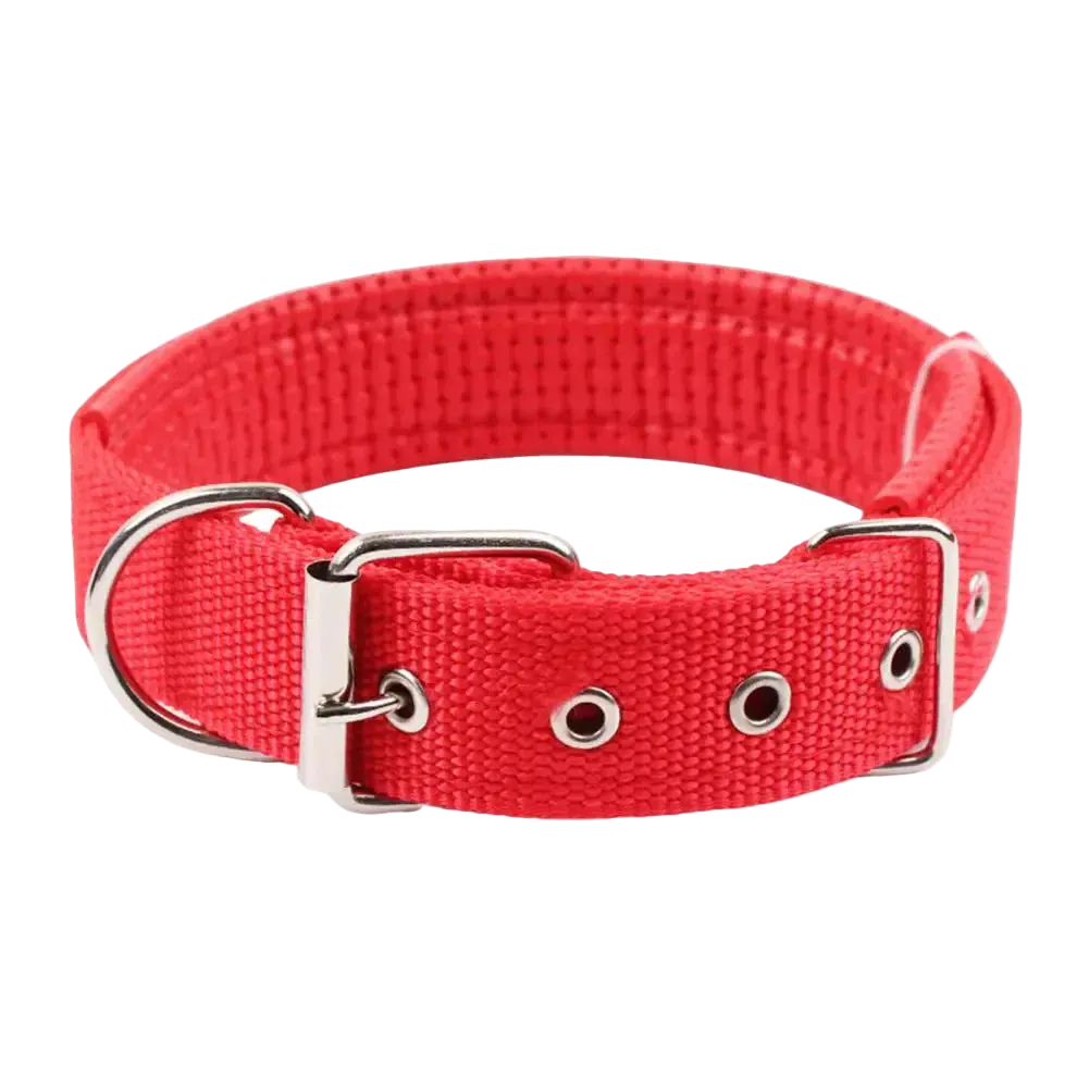 Pawmudder Collar Red / S Adjustable Nylon Dog Collar – Lightweight, Durable & Leash-Ready