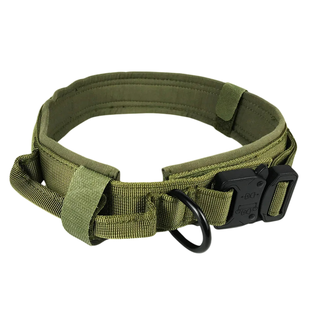 Rugged Dog Collar