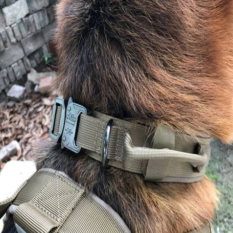 Rugged Dog Collar