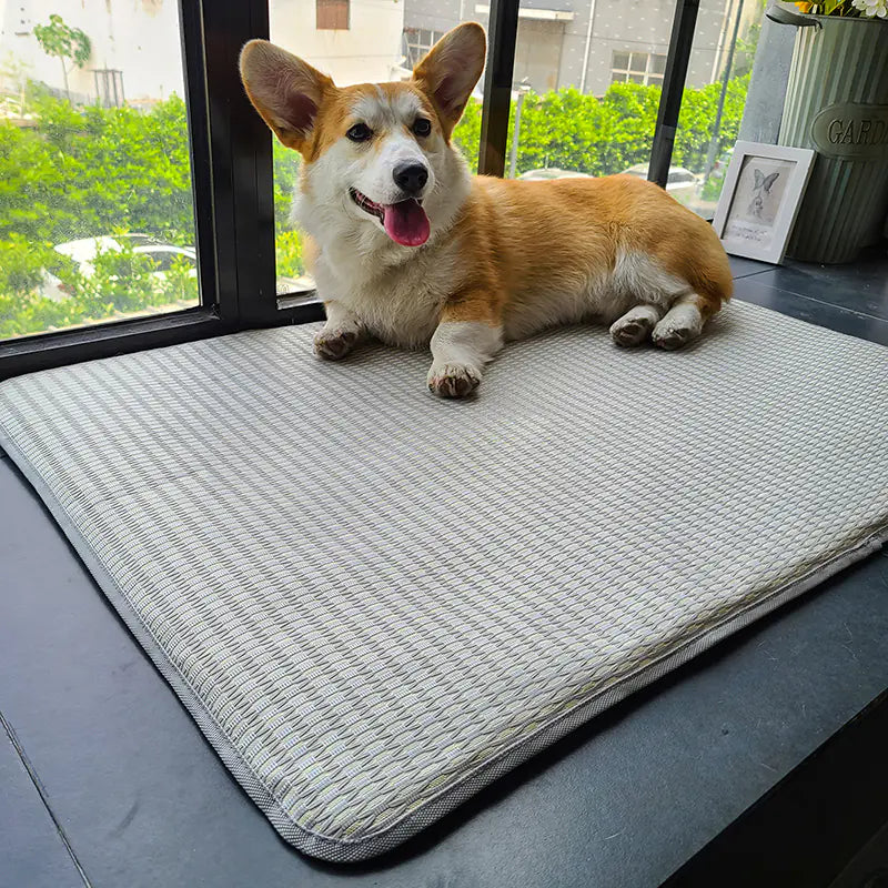 Pawmudder Mats C / S Cooling Comfort Anti-Bite Pet Mat