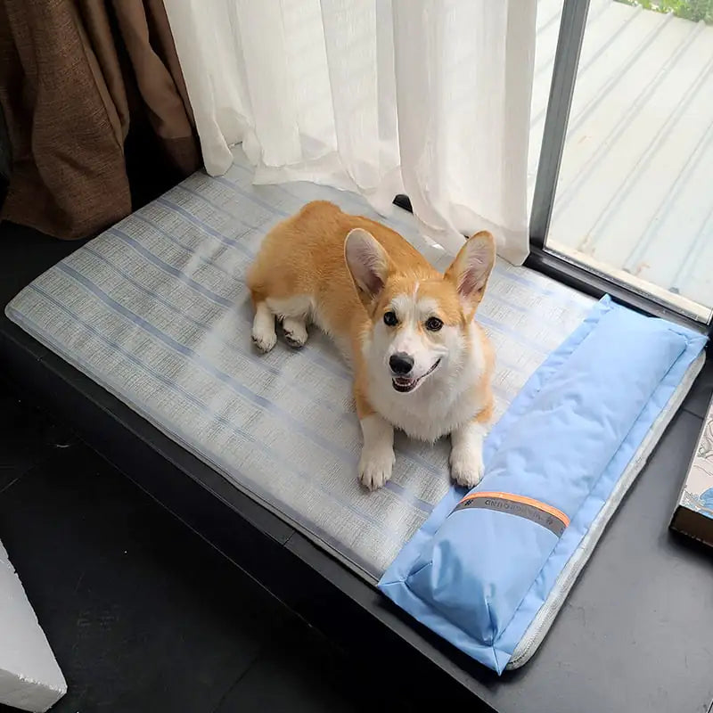 Pawmudder Mats A / S Cooling Comfort Anti-Bite Pet Mat