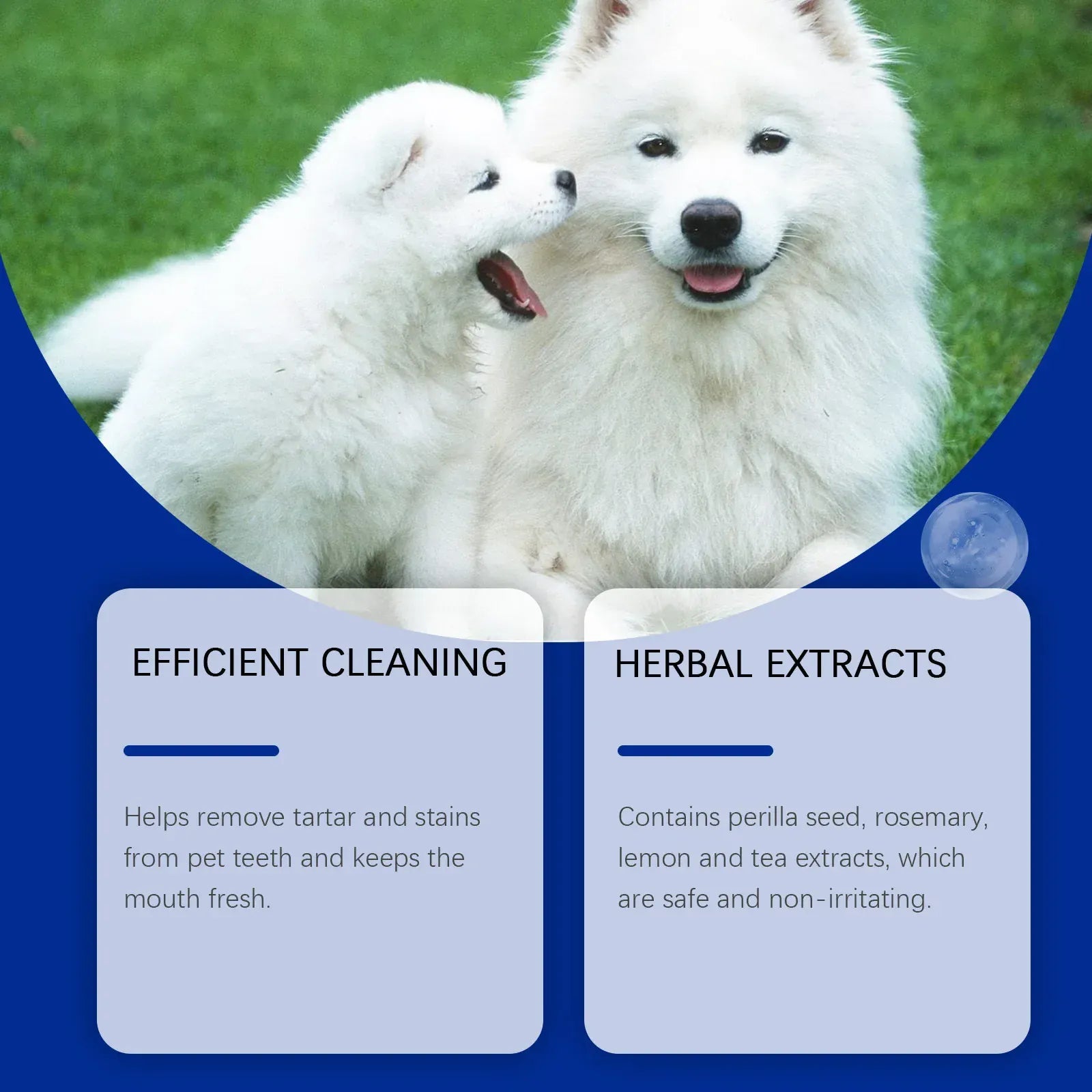 Pawmudder Paw Care Green Natural Dog Teeth Cleaning Powder – Fresh Breath & Gentle Plaque Care