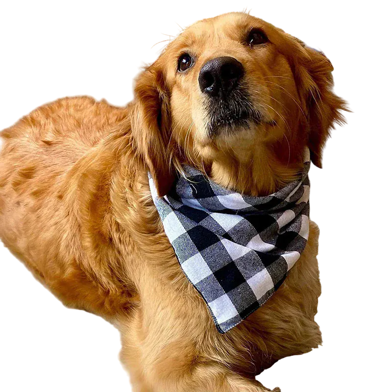 Pawmudder Bandanas Plaid Cotton Dog Bandana – Soft, Washable & Stylish Dog Scarf