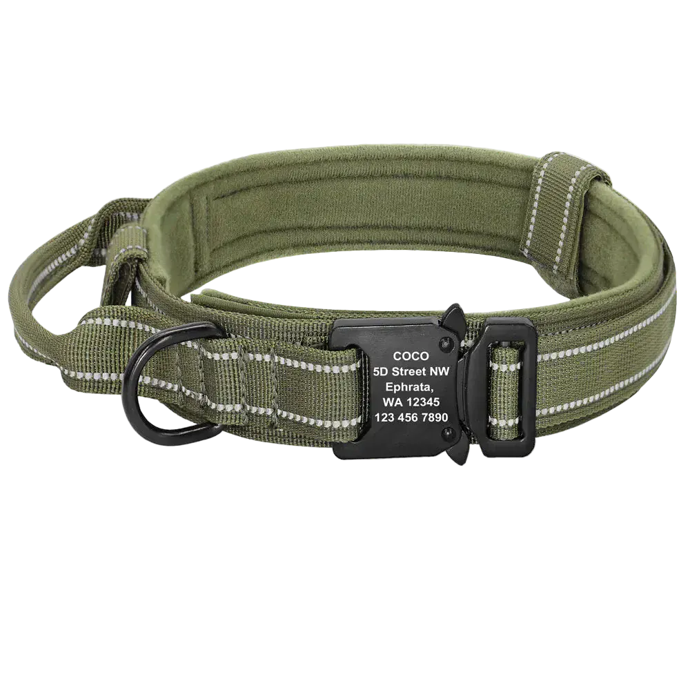 Pawmudder Collar Green / M Premium Adjustable Dog Collars for Medium & Large Breeds