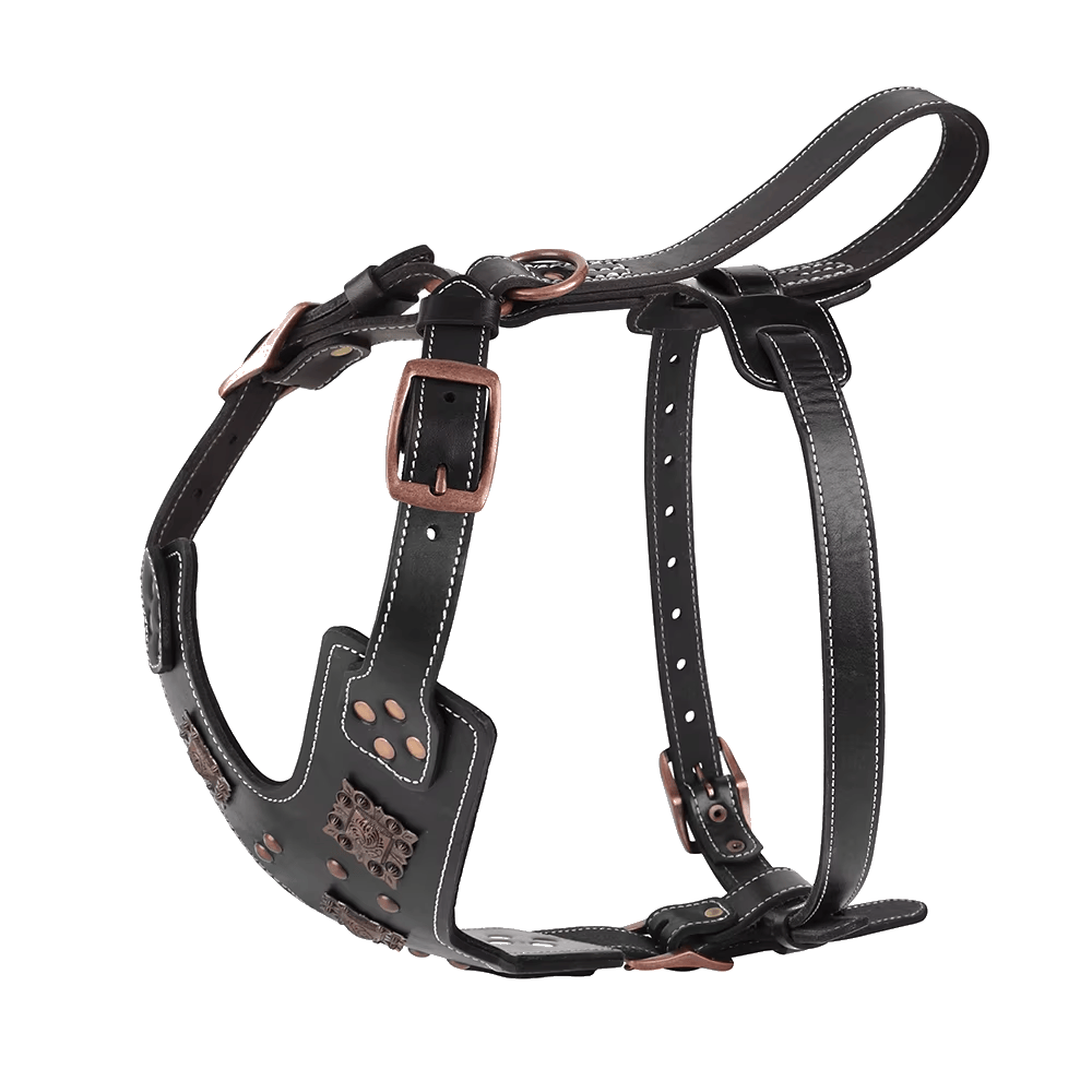 Pawmudder Harness Premium Leather Training Harness for Strong & Confident Dogs