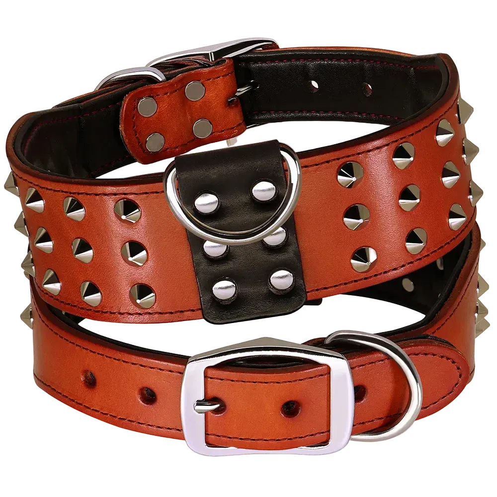 Pawmudder Collar Brown / M Spiked Leather Collar