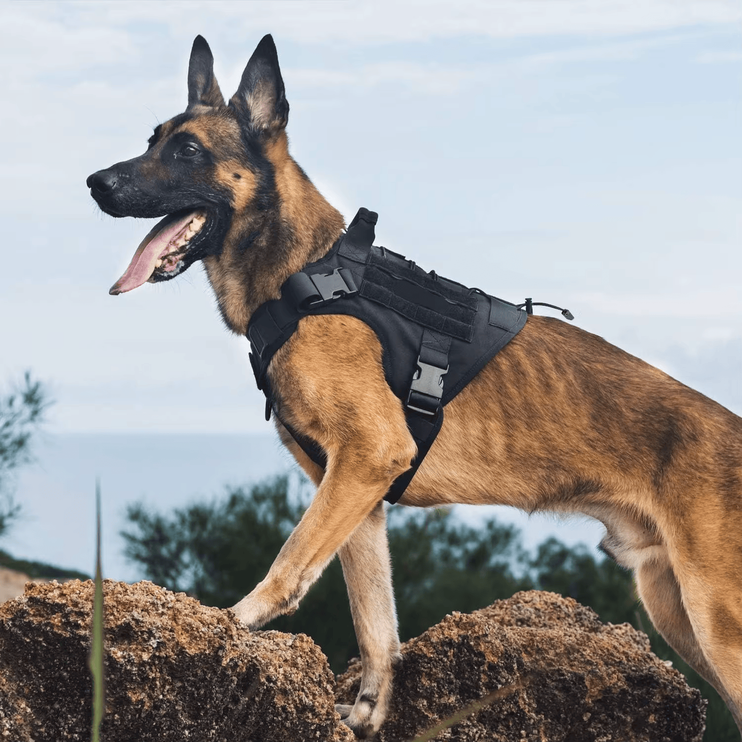 Pawmudder Harness Tactical No-Pull Dog Harness with Handle