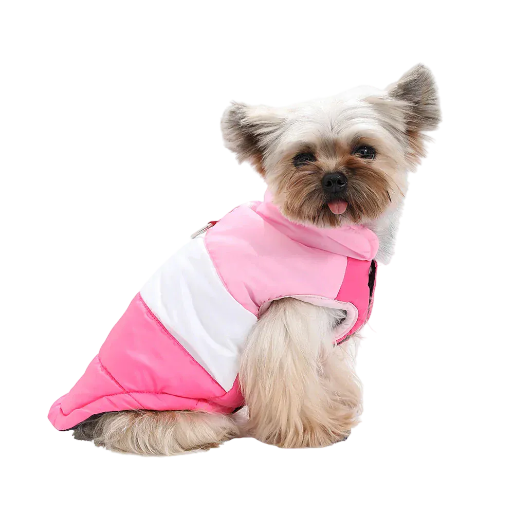 Pawmudder Clothing Windproof Dog Jacket With D-Ring