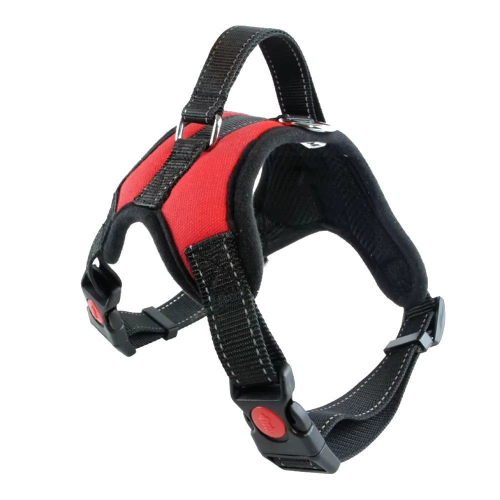 Training Harness