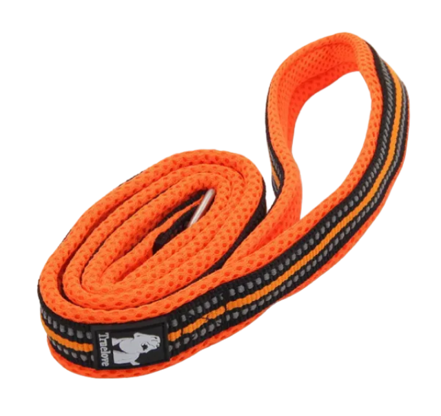 Rugged Dog Leash