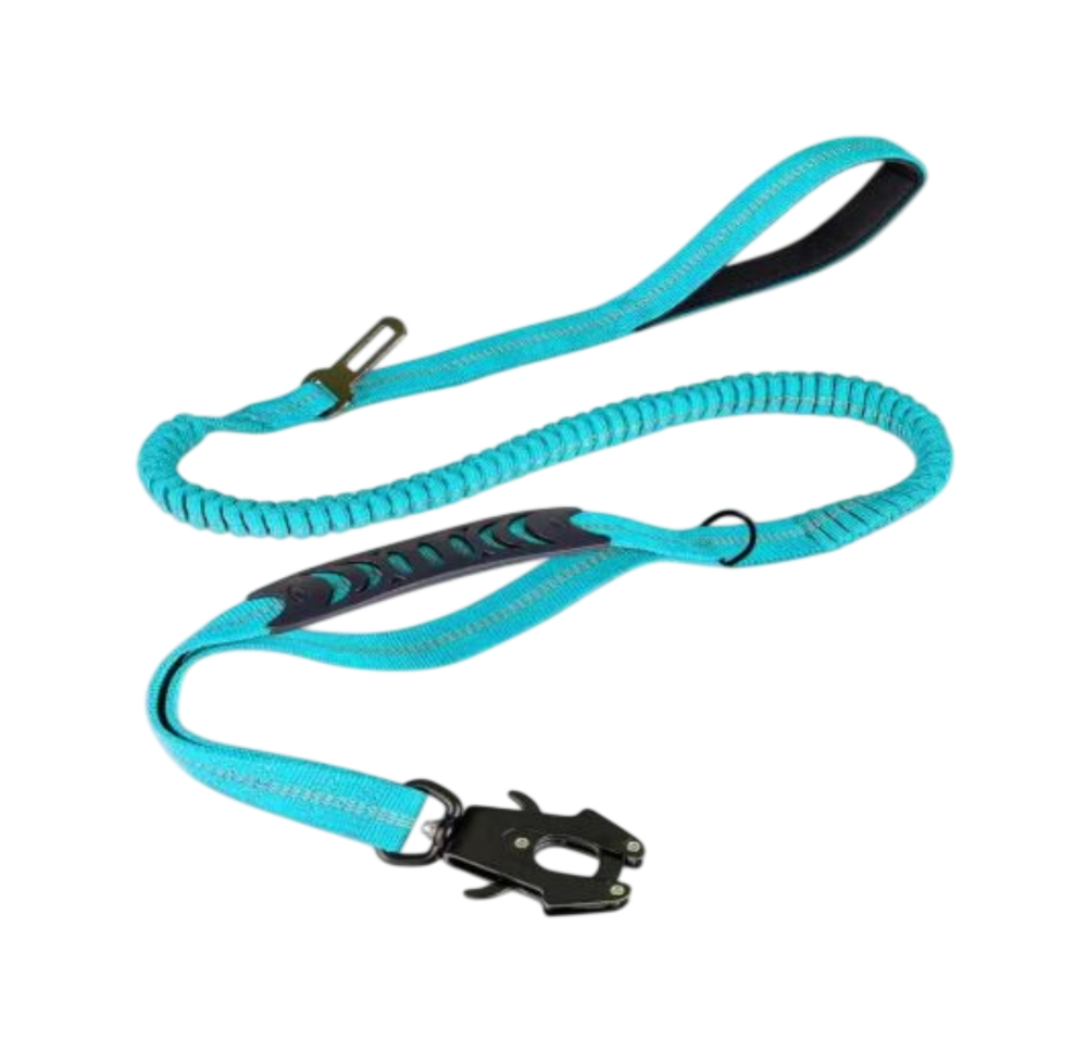 ControlFlex Bungee Lead