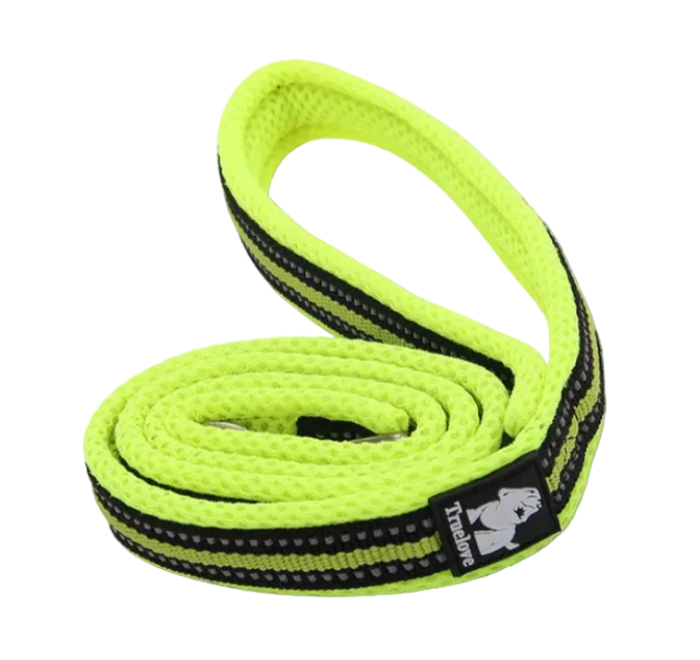 Rugged Dog Leash