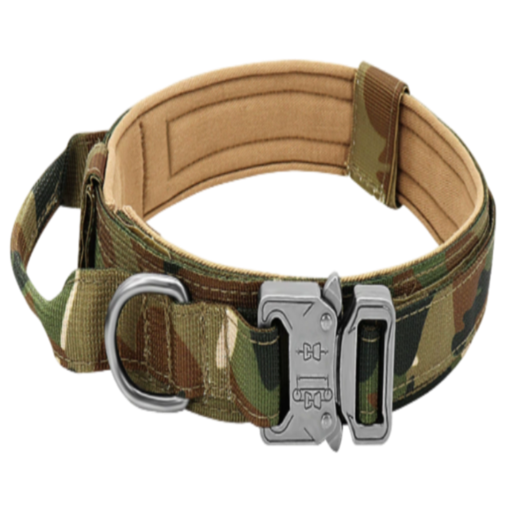Rugged Dog Collar