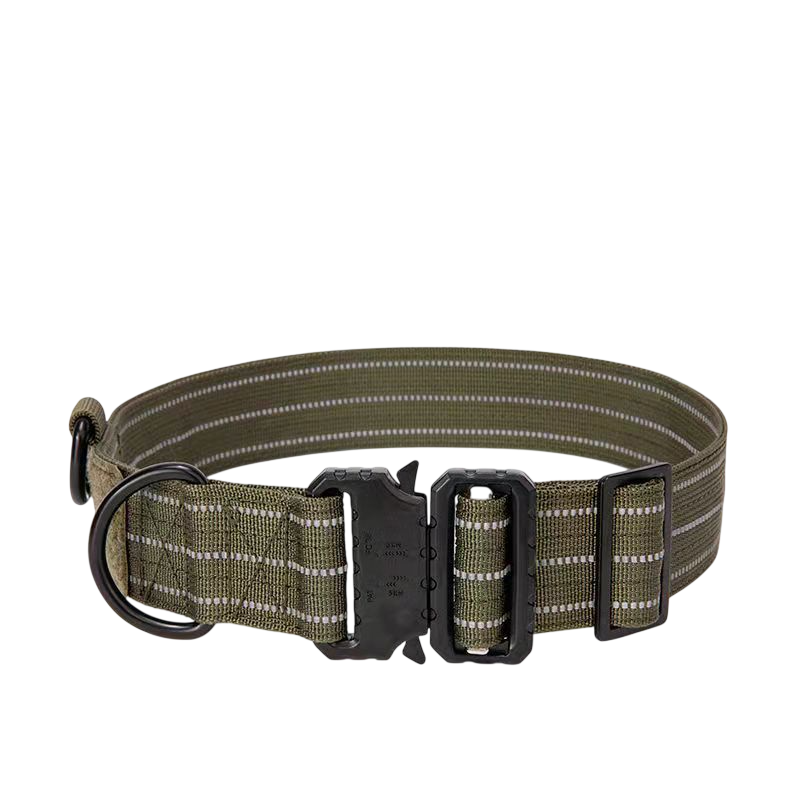WildCore Dog Collar