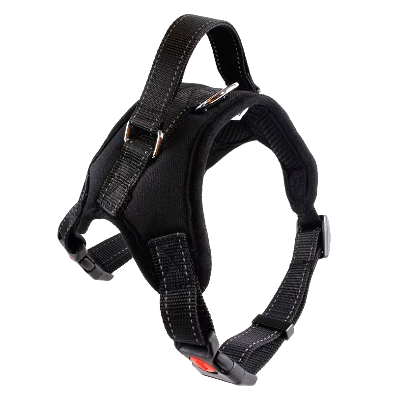 Training Harness