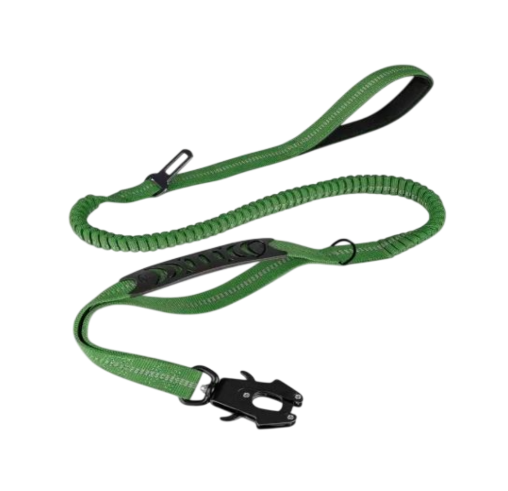 ControlFlex Bungee Lead