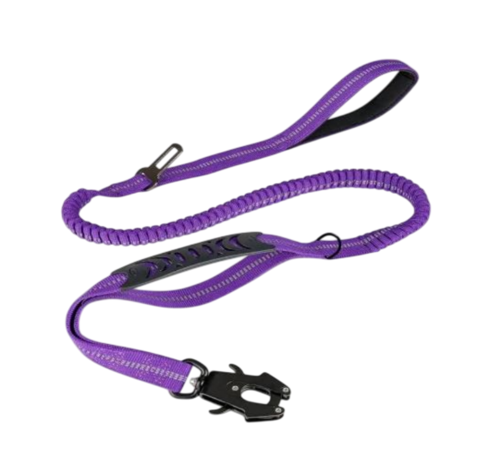 ControlFlex Bungee Lead