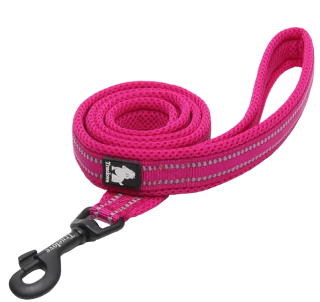 Rugged Dog Leash
