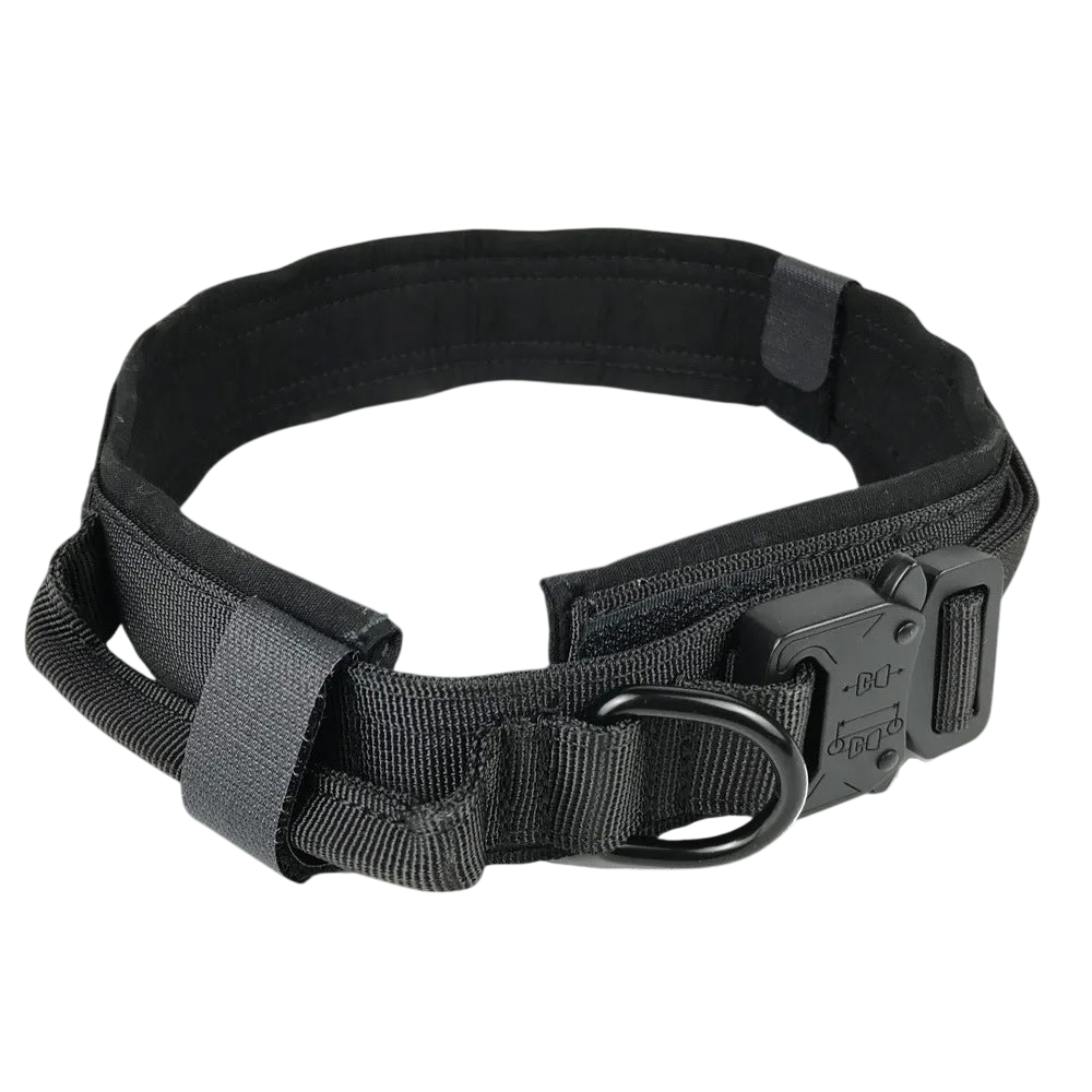 Rugged Dog Collar