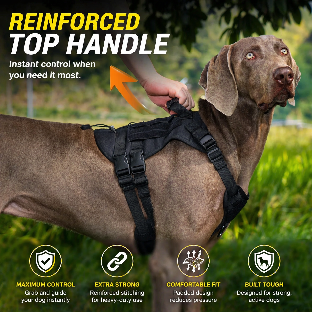 Tactical Control Harness