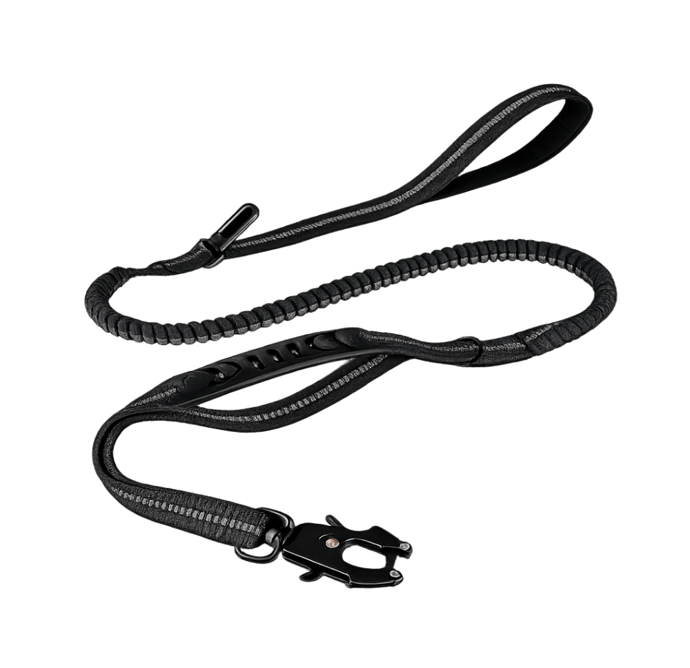 ControlFlex Bungee Lead