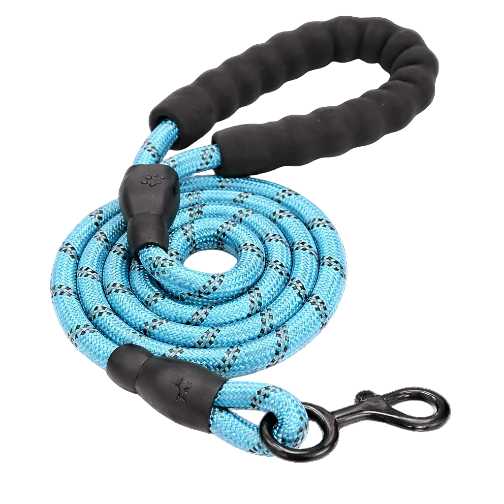 TrailSafe Control Leash