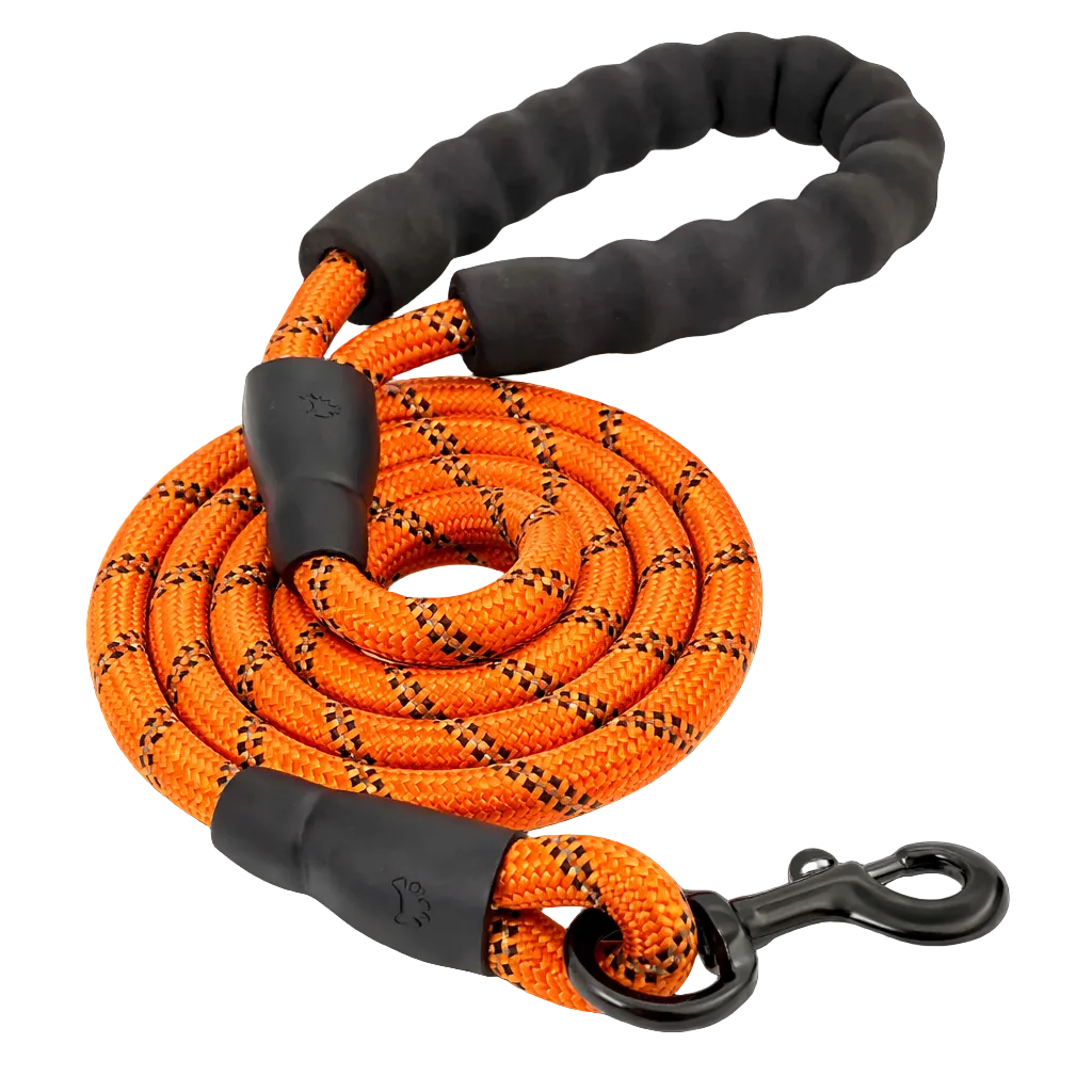TrailSafe Control Leash