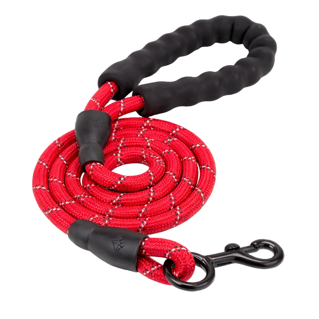 TrailSafe Control Leash
