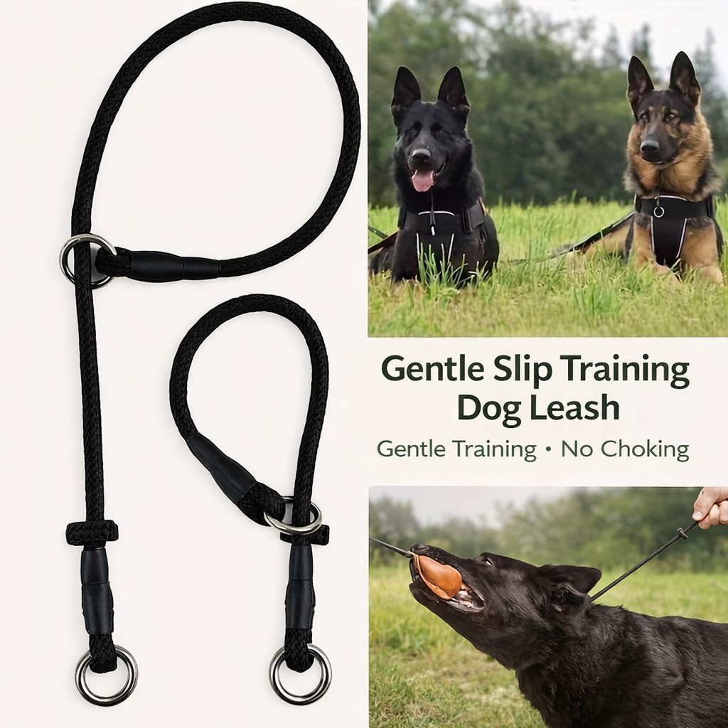 Slip Training Dog Leash