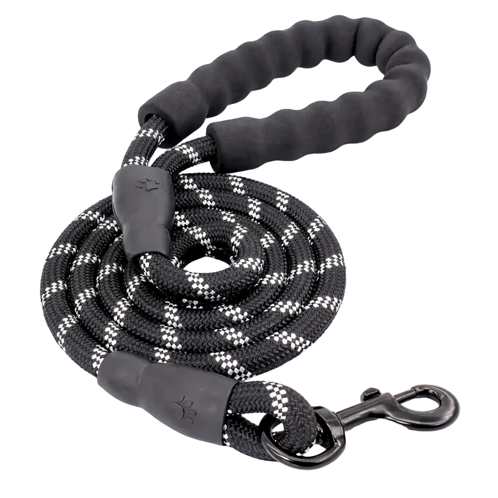 TrailSafe Control Leash