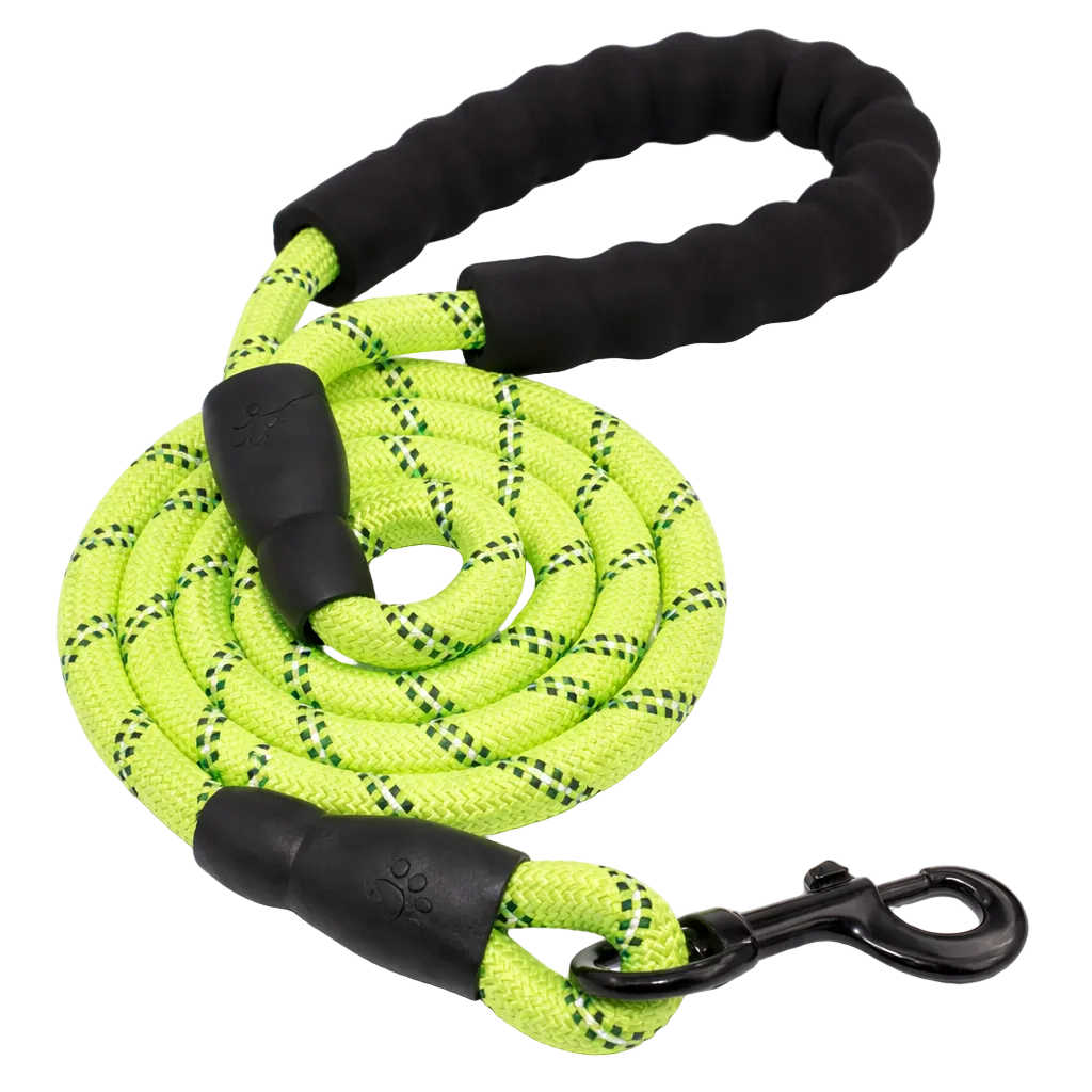 TrailSafe Control Leash
